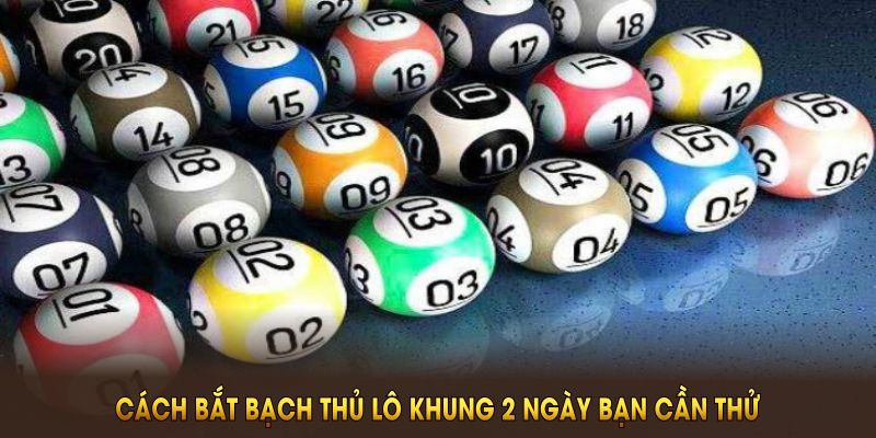 Cách bắt bạch thủ lô khung 2 ngày bạn cần thử